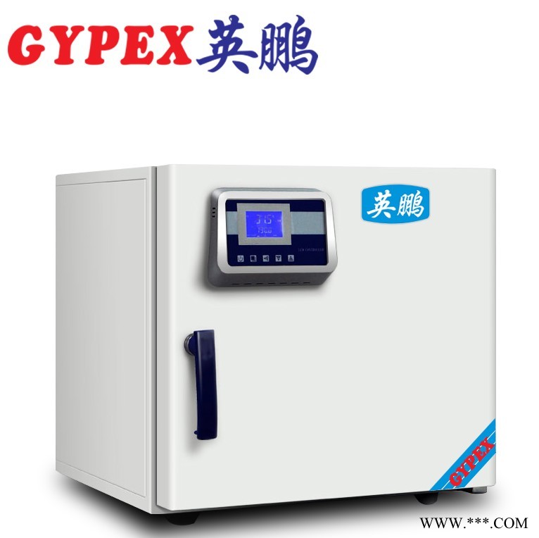 水城實(shí)驗(yàn)室干燥箱，電熱恒溫干燥箱