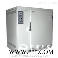 電熱鼓風(fēng)干燥箱（單開門）
