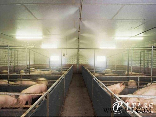 養(yǎng)雞場養(yǎng)豬場雞舍豬舍專用噴霧降溫加濕噴藥消毒系統(tǒng)