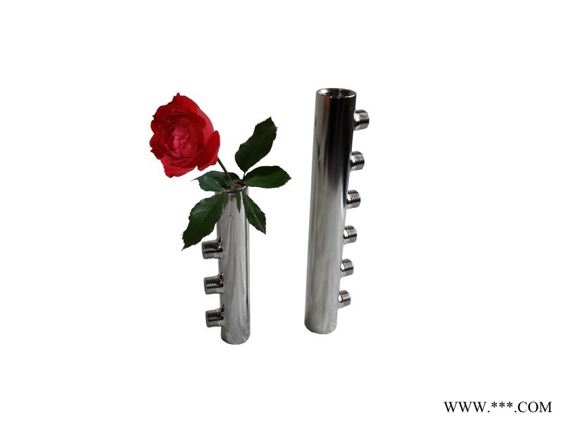 中國不銹鋼分水器 優(yōu)質(zhì)的不銹鋼分水器供應(yīng)信息