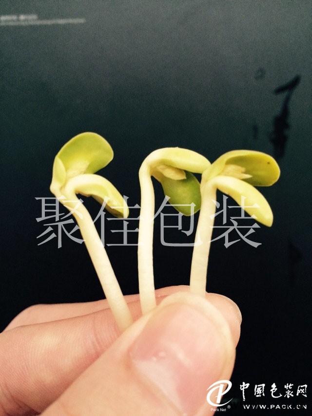 豆芽氣調保鮮包裝配氣機供應