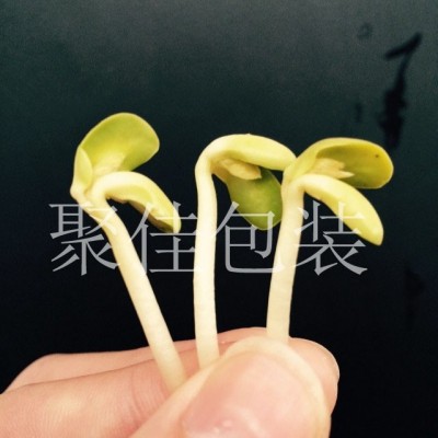 豆芽氣調保鮮包裝配氣機供應