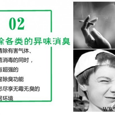 葉子光觸媒咨詢_有口碑的武漢除甲醛就在四葉子環(huán)保
