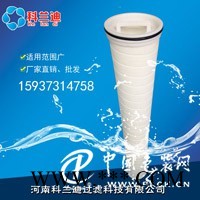 Pall濾芯頗爾水濾芯科蘭迪