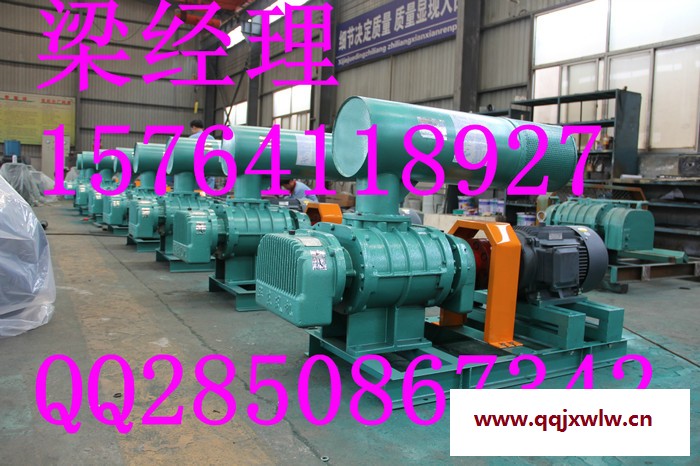 煉化設(shè)備氧化風(fēng)機(jī) 氧化鼓風(fēng)機(jī) 氧化羅茨風(fēng)機(jī) 氧化羅茨鼓風(fēng)機(jī)