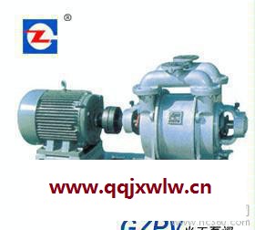 SK型水環(huán)式真空泵及壓縮機(jī)