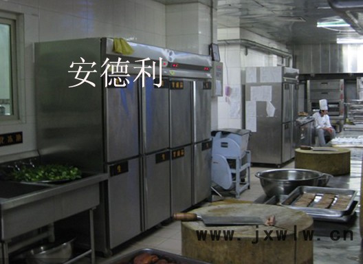 供應(yīng)安德利玻璃廚房保鮮柜 廚房冷藏冷凍展柜 壓縮機功率