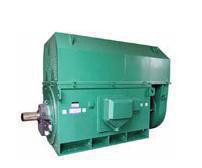 壓縮機專用電機YKS系列YKS5003-2 1400KW 6KV三相異步電動機