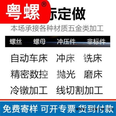 非標(biāo)螺絲 粵螺螺母 螺栓 非標(biāo)五金零件廣州不銹鋼螺絲廠 數(shù)控車床