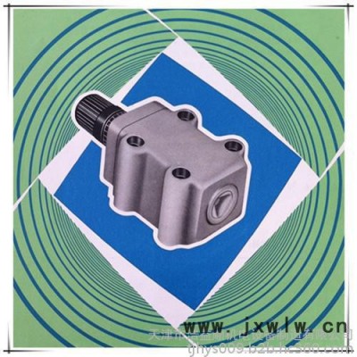 磨床用低壓溢流閥GY11A-35*25**） 液壓溢流閥