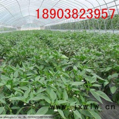 豫工機(jī)械全自動(dòng)九輪伺服大棚彎管機(jī) 彎圓機(jī)