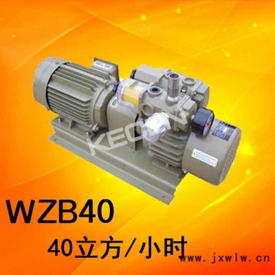 云望真空泵WZB40-P-V/VB用于印刷機(jī)/折頁機(jī)/模切機(jī)/送紙機(jī)/裝訂機(jī)互換好利旺真空泵KRX6-P-V-03