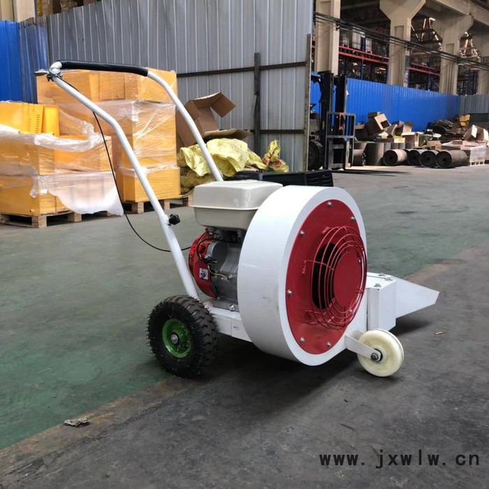 低價供應道路清理吹風機 手推式吹風機