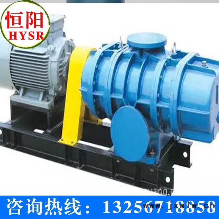 供應(yīng)羅茨風(fēng)機(jī) 三葉羅茨風(fēng)機(jī)