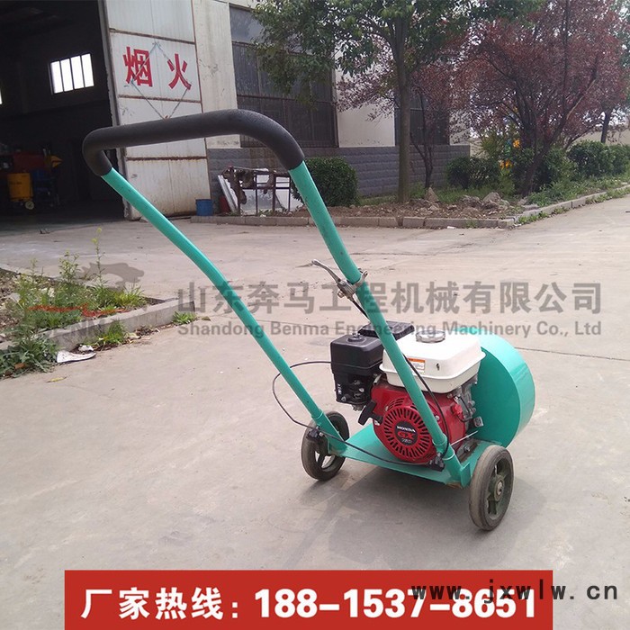 路面吹風(fēng)機 小型手推路面吹風(fēng)機 秋季用處大 生態(tài)園吹落葉吹風(fēng)機 汽油吹風(fēng)機