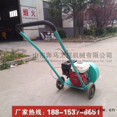 路面吹風(fēng)機 小型手推路面吹風(fēng)機 秋季用處大 生態(tài)園吹落葉吹風(fēng)機 汽油吹風(fēng)機