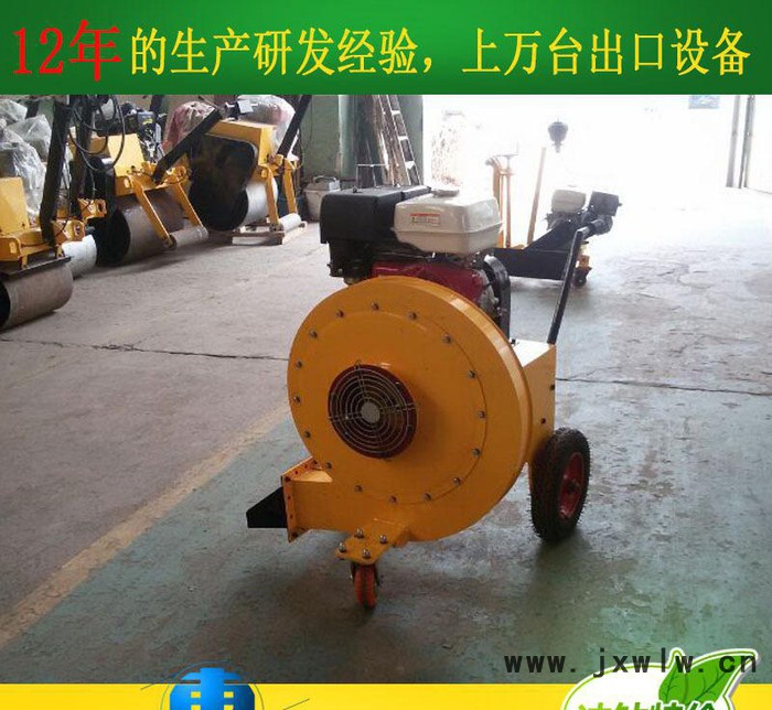 手扶式路面吹風(fēng)機(jī) 馬路吹風(fēng)機(jī) 路面清理吹風(fēng)機(jī)價格 吹風(fēng)機(jī)質(zhì)量