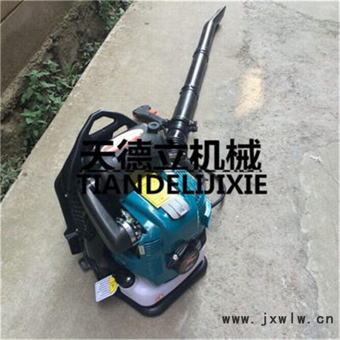 四沖程背負(fù)式吹風(fēng)機(jī) 汽油動(dòng)力吹風(fēng)機(jī) 大功率吹風(fēng)機(jī)廠(chǎng)家
