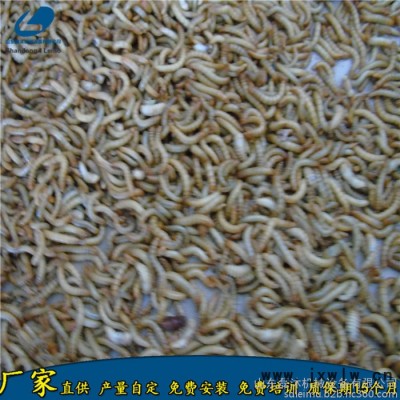 濟(jì)南黑水虻微波干燥設(shè)備價(jià)格 面包蟲活蟲烘干膨脹設(shè)備
