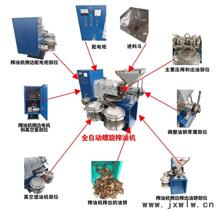 瑞嵐機(jī)械 冷熱兩用螺旋榨油機(jī) 多功能菜籽榨油機(jī) 花生大豆螺旋榨油機(jī) 全自動榨油機(jī)設(shè)備廠家直發(fā) 現(xiàn)貨供應(yīng)
