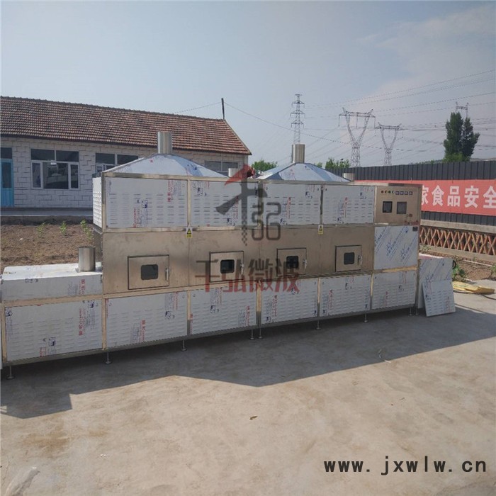 **營(yíng)養(yǎng)大米微波干燥設(shè)備