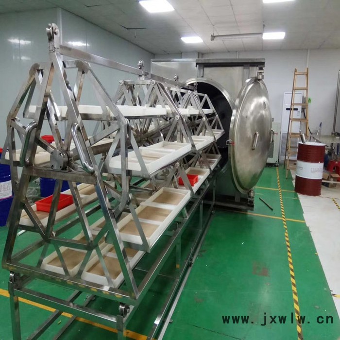 羅漢果真空干燥機(jī) 羅漢果真空干燥設(shè)備 廠家直供 訂購(gòu)微波真空烘干箱