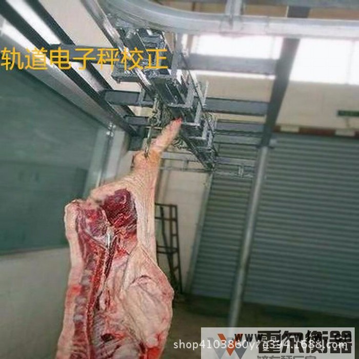 HALL/霍爾衡器xl-300 屠宰軌道衡器鄭州軌道電子秤 蘭州屠宰吊磅西安軌道電子秤