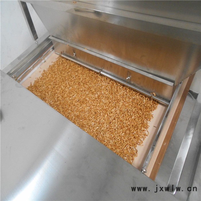 黃粉蟲烘干機(jī)價(jià)位 流水線式活蟲快速干燥機(jī) 黃粉蟲干燥設(shè)備