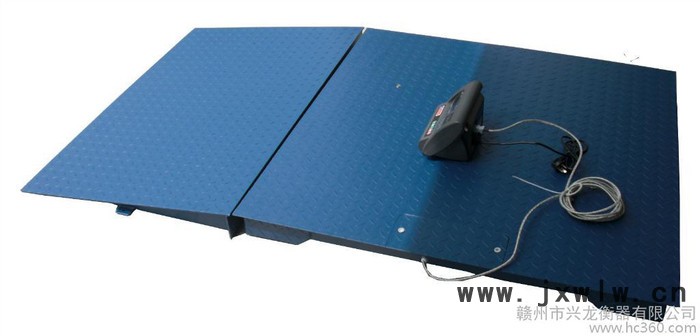 供應(yīng)興龍衡器電子緩坡地上衡