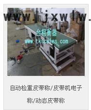臺柯衡器 自動化電子秤  皮帶秤  自動檢重皮帶稱/皮帶機電子稱/動態(tài)皮帶稱