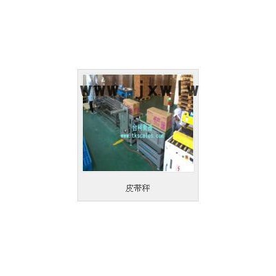 臺柯衡器  一體化直聯(lián)式減速流水線皮帶秤/自動化皮帶稱/scs皮帶機電子秤