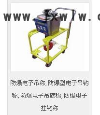 臺柯衡器OCS-XC-D防爆電子吊秤,防爆型電子吊鉤稱,防爆電子吊磅稱,防爆電子掛鉤稱