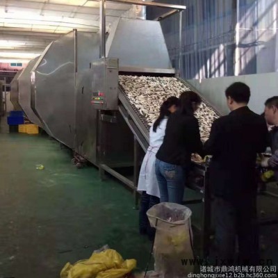 鼎鴻牌HG-4/3型木耳烘干機(jī)  菌菇烘干機(jī) 辣椒烘干流水線  蒜片快速烘干機(jī)  面筋片干燥設(shè)備