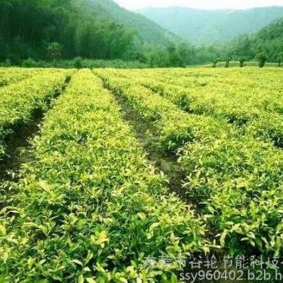 廣東谷輪茶葉烘干機(jī)、茶葉烘干房、節(jié)電節(jié)能設(shè)備、箱式干燥設(shè)備