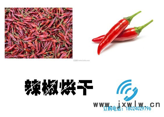 辣椒烘干機，辣椒烘干設備，辣椒干燥設備，辣椒熱泵烘干機