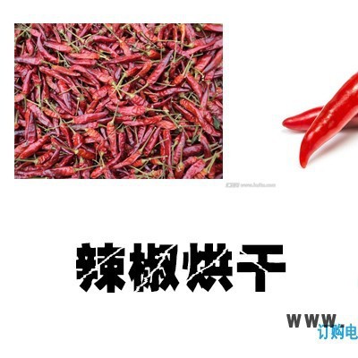 辣椒烘干機，辣椒烘干設備，辣椒干燥設備，辣椒熱泵烘干機