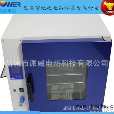 智能數顯電熱鼓風干燥箱小型連續(xù)式食品烘干烤箱干燥設備