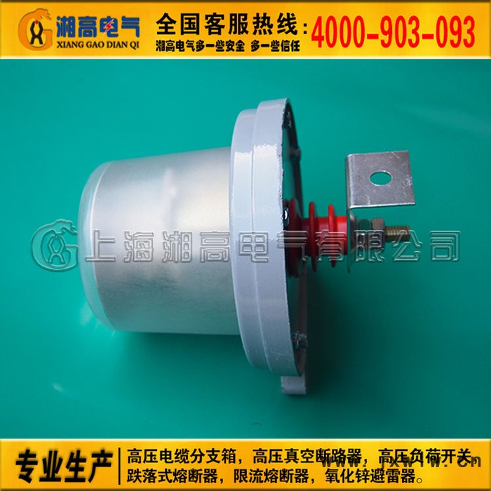 湘高JS-8放電計數(shù)器 避雷器計數(shù)器 JCQ-10監(jiān)測計數(shù)器