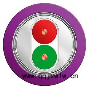 西門子模塊6ES7 350-1AH03-0AE0 FM350-1 計數(shù)器功能模塊原裝