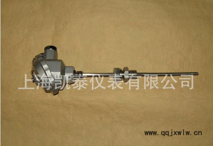 鎧裝熱電偶;熱電阻/溫度儀表 活動(dòng)螺紋安裝鎧裝偶