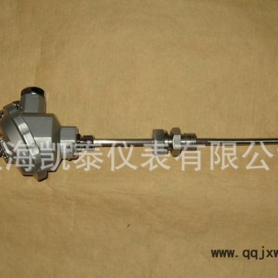 鎧裝熱電偶;熱電阻/溫度儀表 活動(dòng)螺紋安裝鎧裝偶