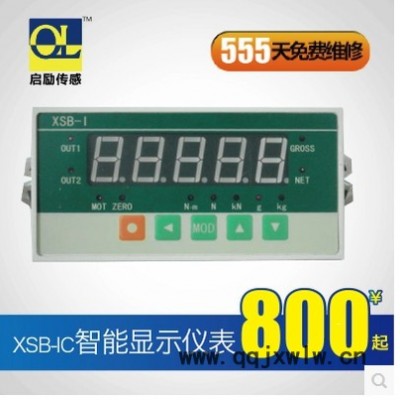 供應(yīng)XSB-IC 高速智能顯示儀表 高精度 快響應(yīng)速度 稱重測量實(shí)驗(yàn)儀表 遼寧 上海 廣州 北京 江蘇 浙江 安徽 山西