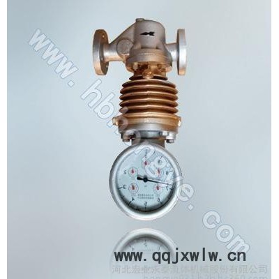 泊頭儀表廠 河北泊頭旋翼式蒸汽流量計(jì) 機(jī)械式蒸汽老表