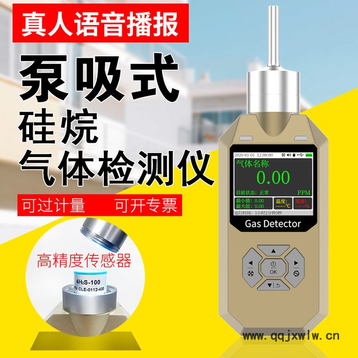 普利通 泵吸式硅烷檢測儀 硅烷濃度檢測儀 硅烷報警器 高精度硅烷分析儀 PLT300-SiH4