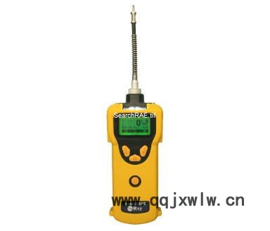 RAE/華瑞PGM-1600 可燃?xì)?有毒氣體檢測儀氣體分析儀