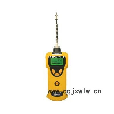 RAE/華瑞PGM-1600 可燃?xì)?有毒氣體檢測儀氣體分析儀