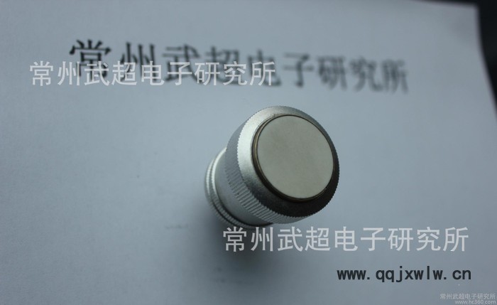 直探頭 超聲波直探頭無(wú)損檢測(cè)耗材 探頭 1.25P 20