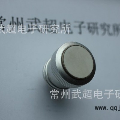 直探頭 超聲波直探頭無(wú)損檢測(cè)耗材 探頭 1.25P 20