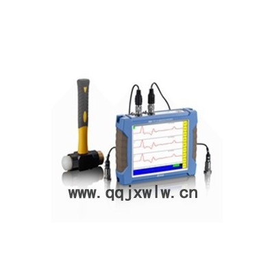 RSM-PRT(M) 基樁低應(yīng)變檢測儀 雙通道動測儀 瞬時浮點無損檢測