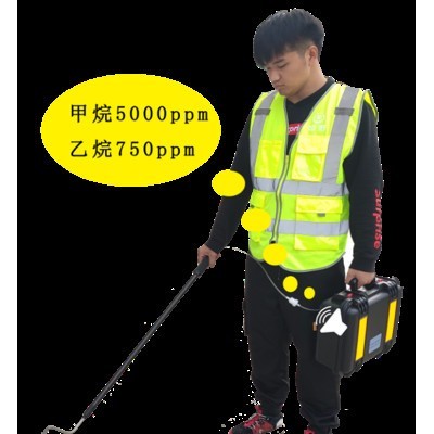 激光甲烷乙烷分析儀乙烷分析儀乙烷光譜分析儀天然氣泄漏檢測